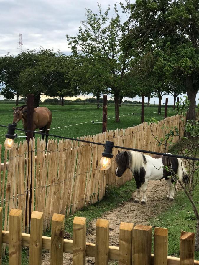 Tussen De Paarden @ De Hoeveschuur 리엠스트 외부 사진